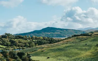 High Court Action Over Catastrophic Injuries Sustained While Trekking Mountain