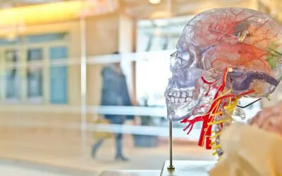 €10 million Settlement for Woman for Severe Brain Injury